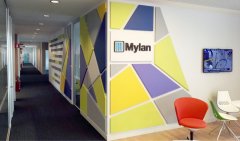 am4design_mylan_a02.jpg